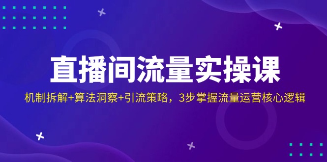 （14122期）直播间流量实操课：机制拆解+算法洞察+引流策略，3步掌握流量运营核心逻辑-鲲鹏云网创