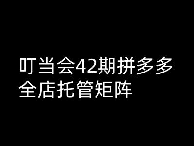 叮当会拼多多打爆班原创高阶技术第42期，拼多多全店托管矩阵-鲲鹏云网创