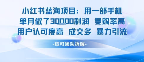 小红书蓝海项目，一部手机单月做了3W利润，小白也能月入过1W用户认可度高成交多-鲲鹏云网创