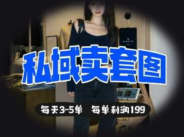 私域卖套图每天3-5单，每单利润99-鲲鹏云网创