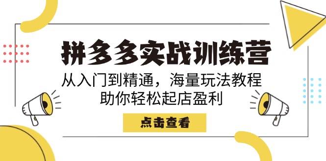 （14392期）拼多多实战训练营，从入门到精通，海量玩法教程，助你轻松起店盈利-鲲鹏云网创