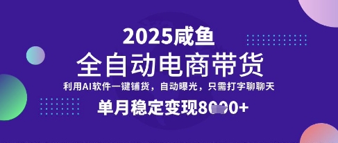 全网首发【闲鱼全自动电商带货】三年磨一剑，一朝露锋芒，单月稳定变现8k+【揭秘】-鲲鹏云网创