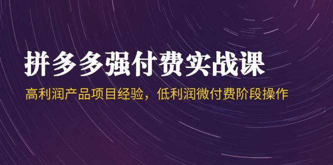 （14874期）拼多多强付费实战课-44期，高利润产品项目经验，低利润微付费阶段操作-鲲鹏云网创
