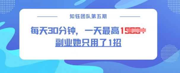 副业她只用了1招，每天30分钟，无脑二创，一天最高1.5k-鲲鹏云网创