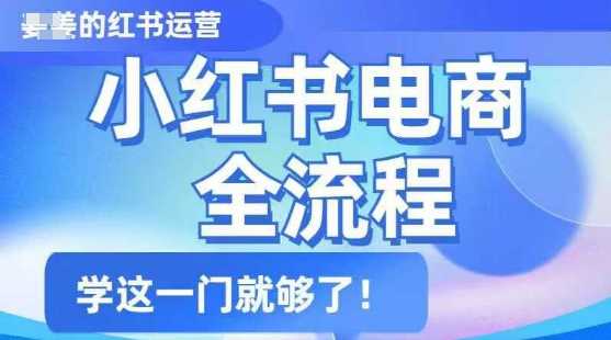 小红书电商全流程，精简易懂，从入门到精通，学这一门就够了-鲲鹏云网创