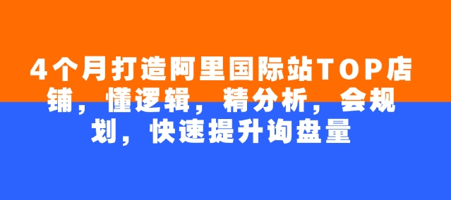 4个月打造阿里国际站TOP店铺，懂逻辑，精分析，会规划，快速提升询盘量-鲲鹏云网创