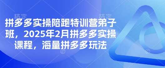 拼多多实操陪跑特训营弟子班，2025年2月拼多多实操课程，海量拼多多玩法-鲲鹏云网创