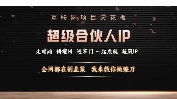 互联网项目天花板，超级合伙人IP，全网都在割韭菜，我来教你做镰刀【仅揭秘】-鲲鹏云网创