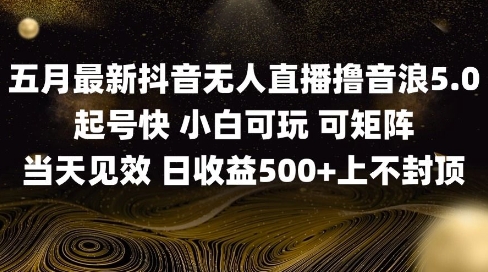 2025五月最新无人直播撸音浪单日产出5张+实操教程【揭秘】-鲲鹏云网创