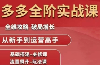 拼多多全阶实战课程，全维攻略，破局增长，从新手到运营高手-鲲鹏云网创
