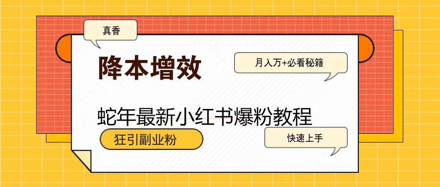 蛇年最新小红书爆粉教程，狂引副业粉，月入万+必看-鲲鹏云网创
