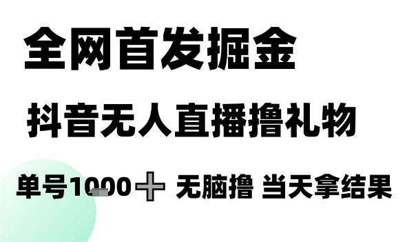 全网首发掘金抖音无人直播撸礼物，单号1k +无脑撸，当天拿结果【揭秘】-鲲鹏云网创