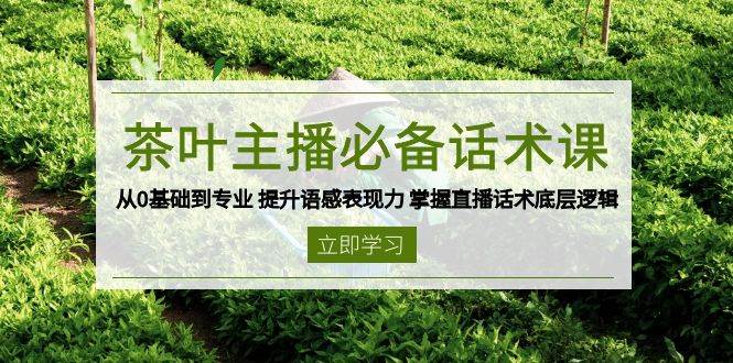 茶叶主播必备话术课 从0基础到专业 提升语感表现力 掌握直播话术底层逻辑-鲲鹏云网创
