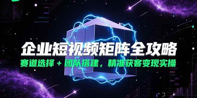 （15242期）企业短视频矩阵全攻略，赛道选择+团队搭建，精准获客变现实操-鲲鹏云网创
