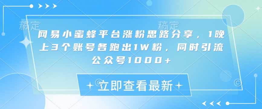 网易小蜜蜂平台涨粉思路分享，1晚上3个账号各跑出1W粉，同时引流公众号1000+-鲲鹏云网创