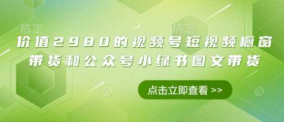 价值2980的视频号短视频橱窗带货和公众号小绿书图文带货-鲲鹏云网创