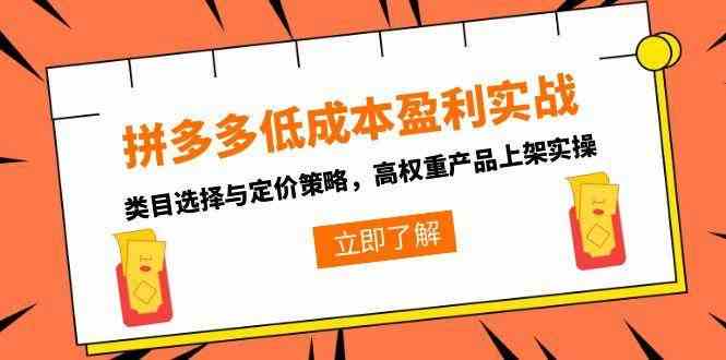 拼多多低成本盈利实战，类目选择与定价策略，高权重产品上架实操-鲲鹏云网创