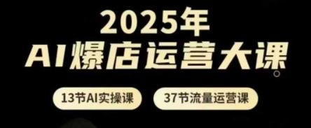 2025年AI爆店运营大课，13节AI实操课+37节流量运营课-鲲鹏云网创