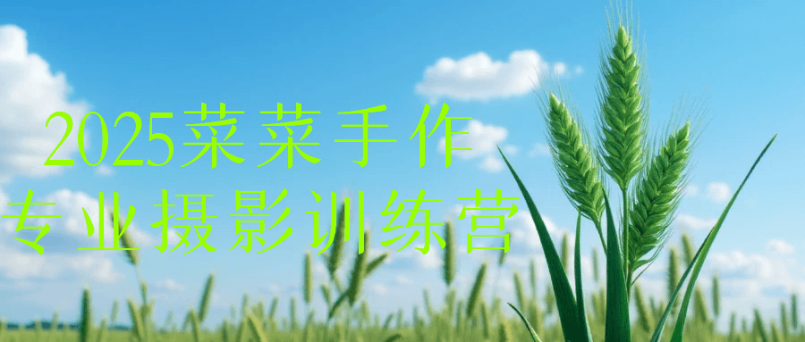 2025菜菜手作专业摄影训练营-鲲鹏云网创