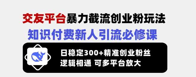 交友平台暴力截流创业粉玩法，知识付费新人引流必修课，日稳定300+精准创业粉丝，逻辑相通可多平台放大-鲲鹏云网创