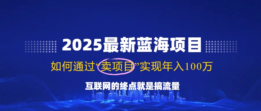 （14305期）2025最新蓝海项目，零门槛轻松复制，月入10万+，新手也能操作！-鲲鹏云网创