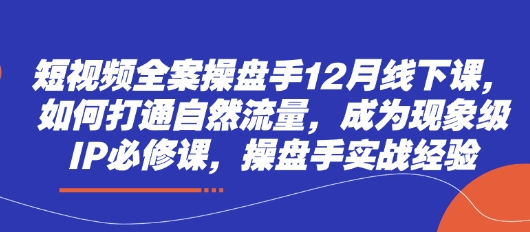 短视频全案操盘手12月线下课，如何打通自然流量，成为现象级IP必修课，操盘手实战经验-鲲鹏云网创