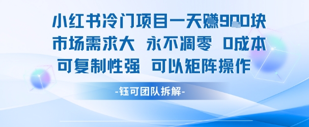 小红书冷门项目一天收益9张，市场需求大，0成本，可复制性强可以矩阵操作-鲲鹏云网创