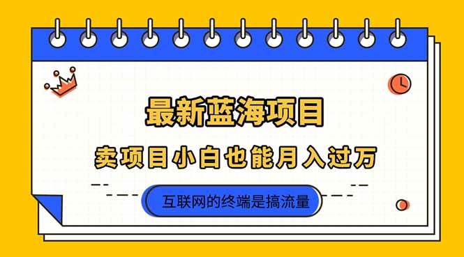 （14289期）2025年最新蓝海项目，卖项目小白也能月入过万-鲲鹏云网创
